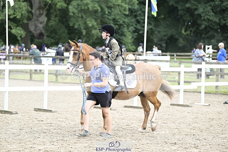 240822X-150049-11486 - 40cm A R2 15.00 to 16.16