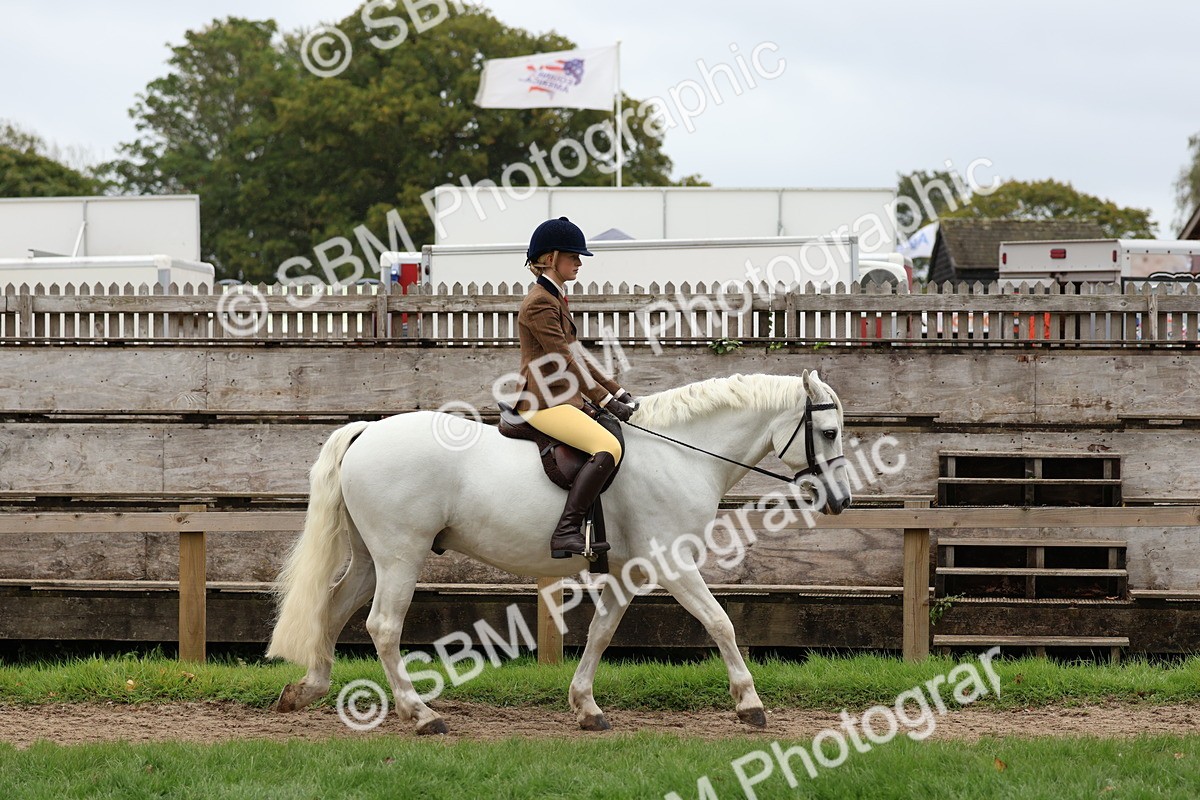 SBM_69530 - S62 - Mountain & Moorland Ridden Large Breeds
