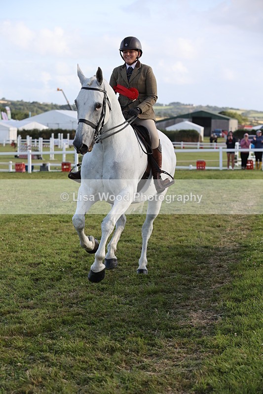 JPP_3590 - Class 22: Working Hunter 90cm