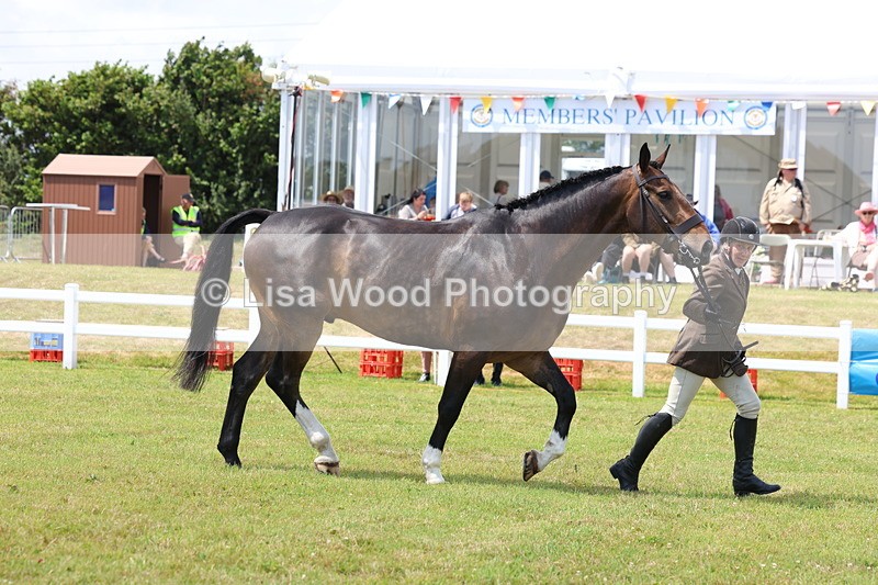 3E7A1745 - Class 9: Open Hunter