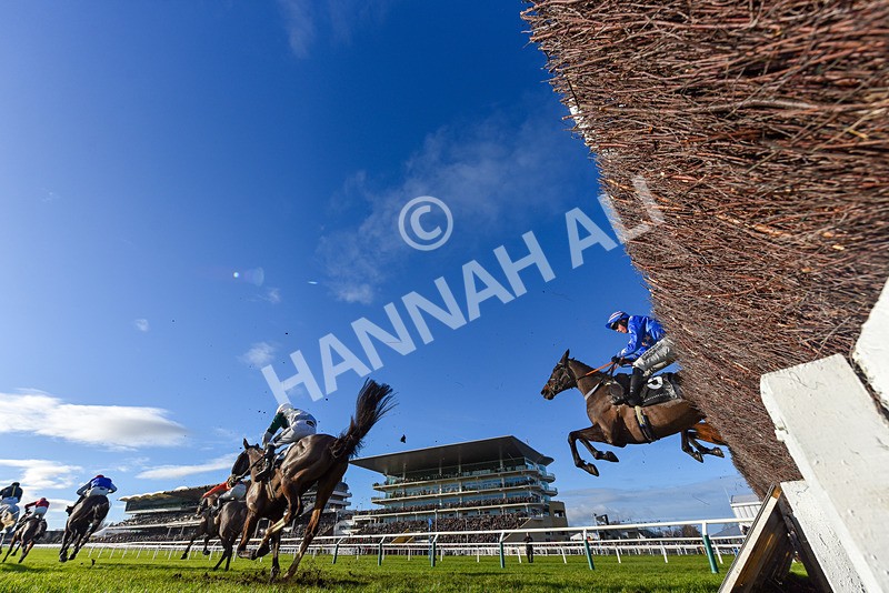 141224-Race 3-Malaita-9363 - Race 3