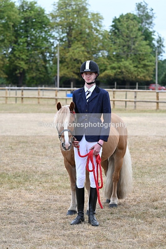 WJ7_0242 - Gelding Champs