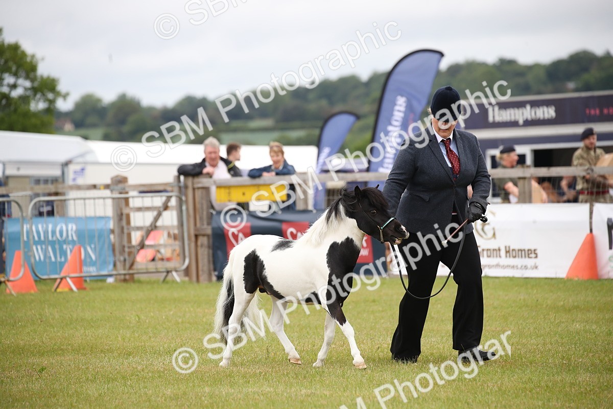 SBM_03755 - Class 23-25 - British Miniature Horse of the Year