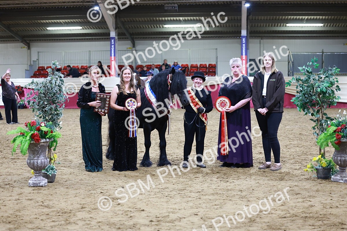 SBM_20427 - Class F - IH Small (148cm & Under)Champ