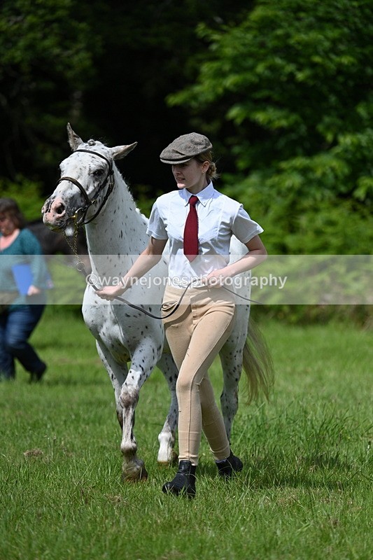 WJ7_1311 - Class 11 Condition & Turnout
