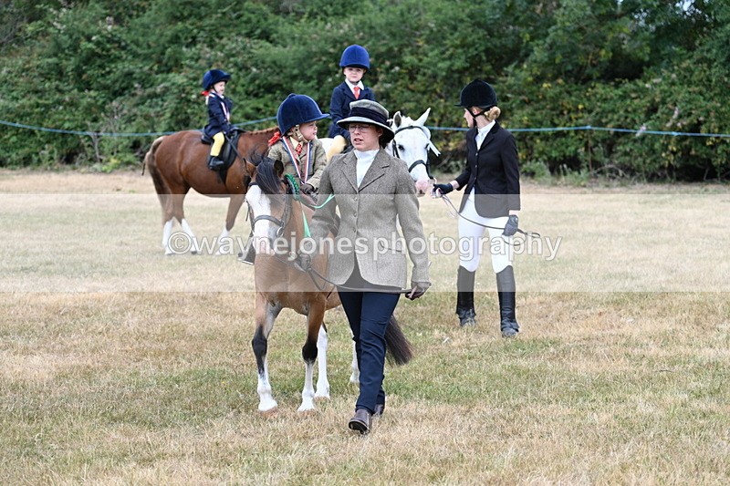 WJ7_9970 - Class 1 Lead Rein Pony