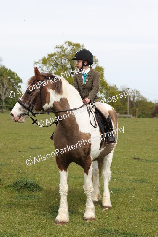20260426-4388 - Class 34 - Best Riding Horse Over 14.2hh