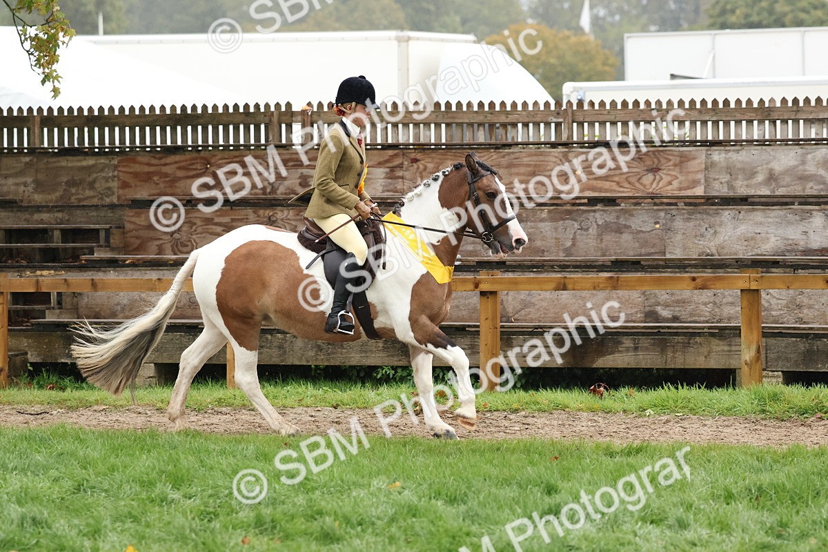 SBM_73136 - Ridden Pony Supreme Championship