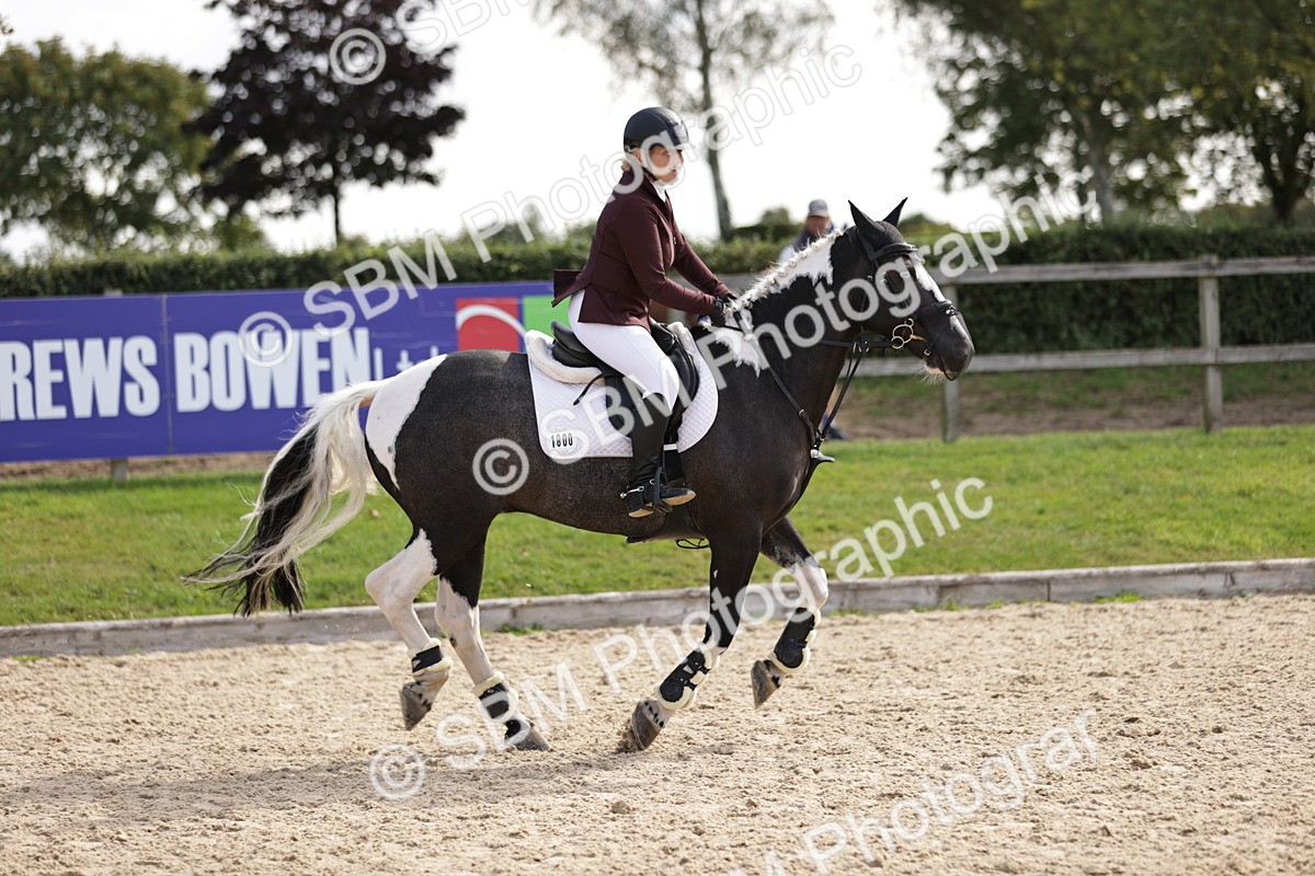 SBM_18537 - Supreme Championship