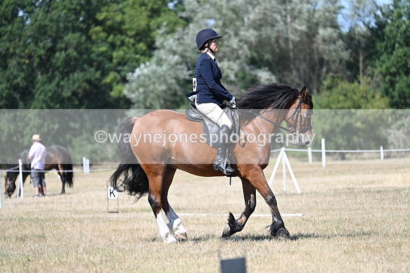 WJ7_0817 - Time 12:03 to 12:23