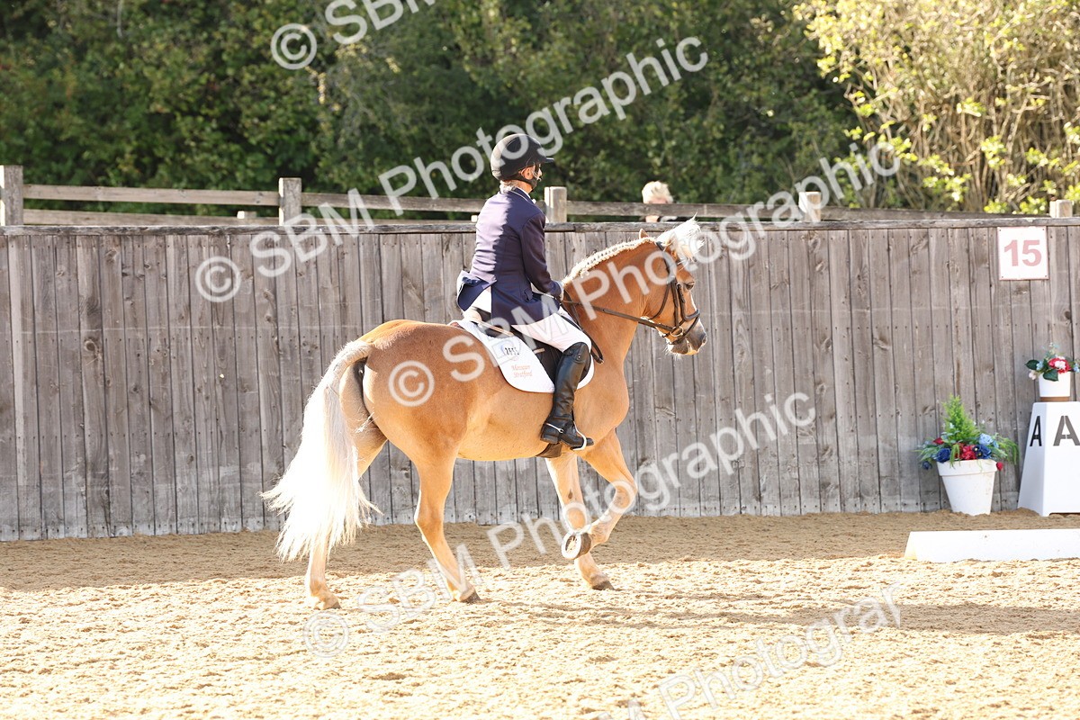 SBM_28213 - D20 - Grand Tour Championship Elementary 3