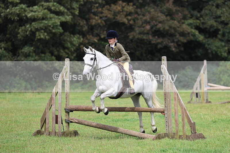 3E7A5793 - Class 26 and 27: 70cm Working Hunter