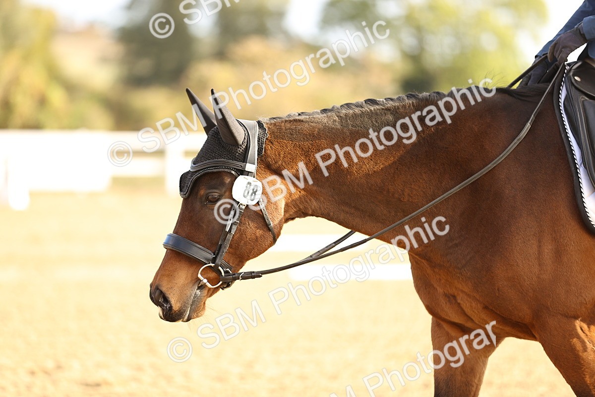 SBM_008991 - Class 2 - P5