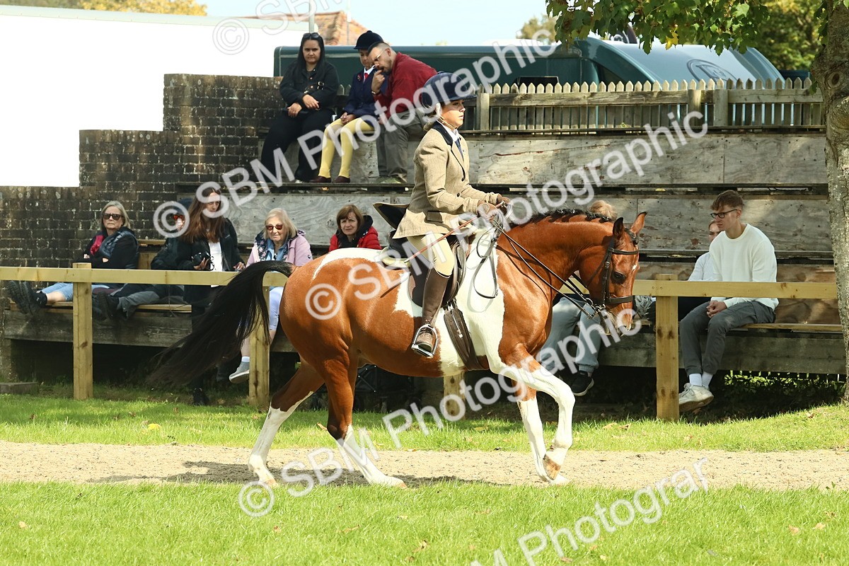 SBM_67498 - S56 - Coloured Pony Ridden