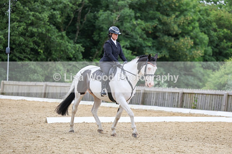 3E7A0791 - Class 6: Novice 1 2024 Section B