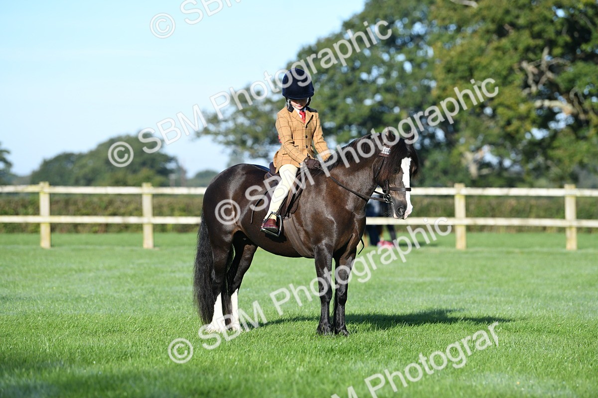 SBM_33941 - S16 - Condition & Turnout - Ridden