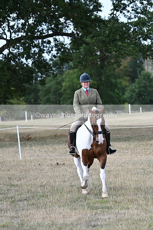 WJ7_7237 - Class 14 Ridden Coloured