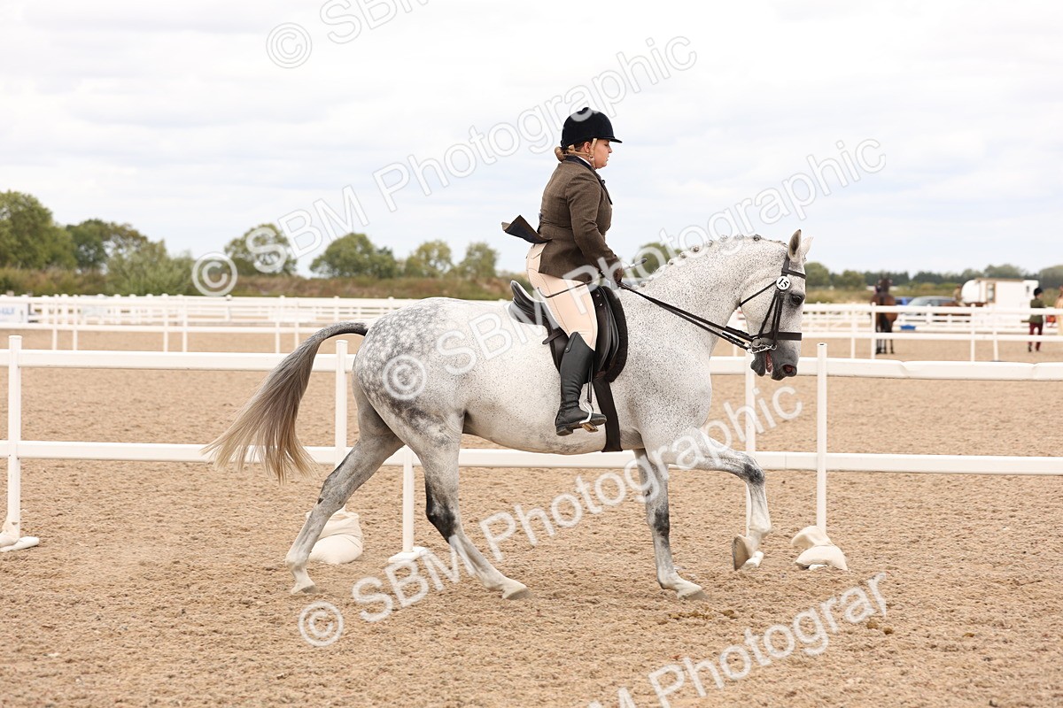 SBM_17224 - Class 213 - Ridden Hunter - Large