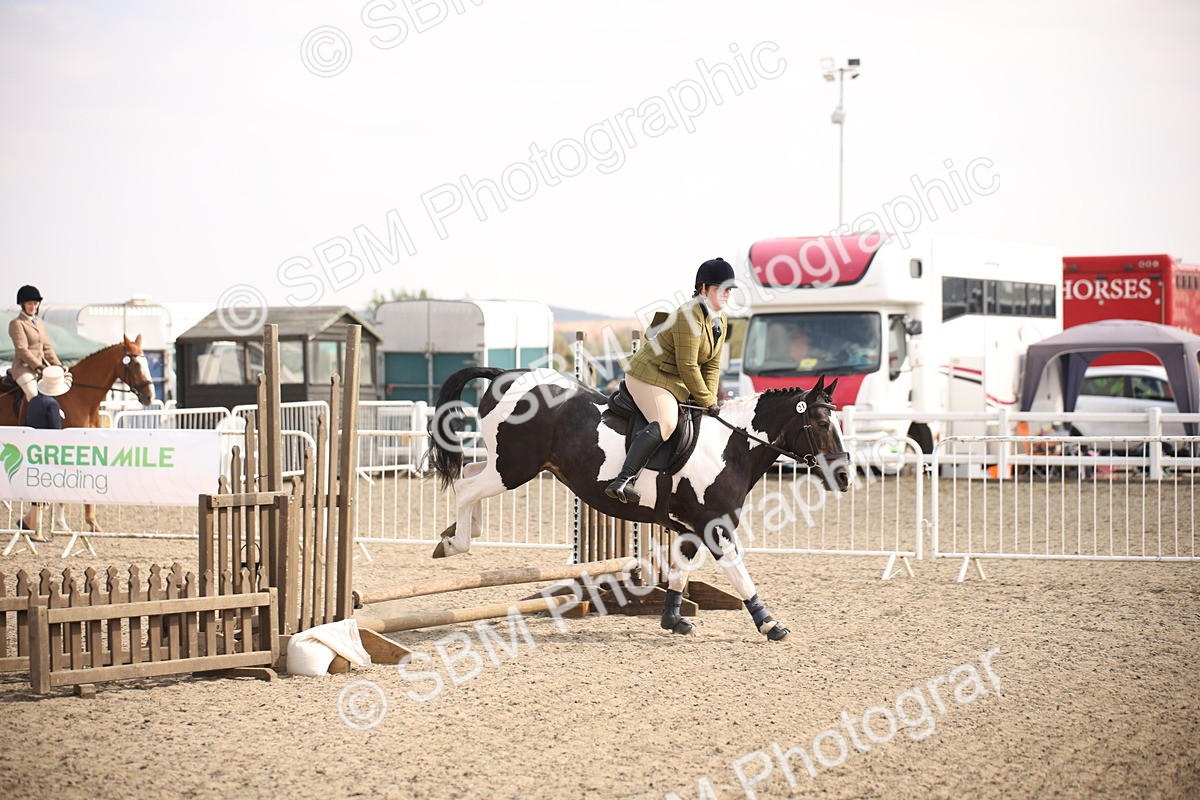 SBM_13603 - Class 406b - Working Veteran 50cm (20+)