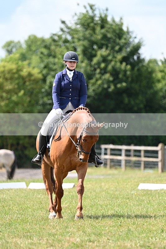 WJ7_4328 - Time 10:59 to 11:17