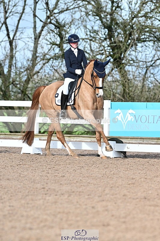 240218A-114426-06830 - 272-Beth.Bainbridge-Newton.Dreamcatcher