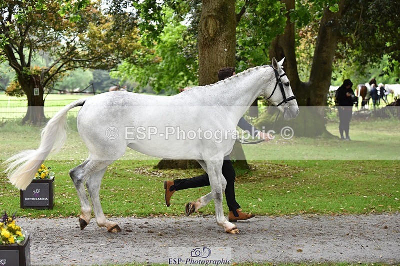 240522-160910-00748 - 156-JAG_WOMANIZER_LADY-Beatrice_Montgomerie