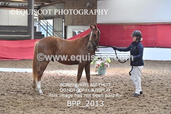 BPP_2013 - AFTERNOON 12.30 - 3.30PM