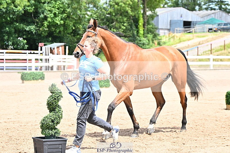 240718A-105310-01642 - Trot Up 1pm to 2pm