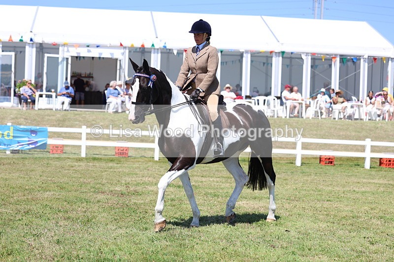3E7A7876 - Class 7: Open Riding Horse