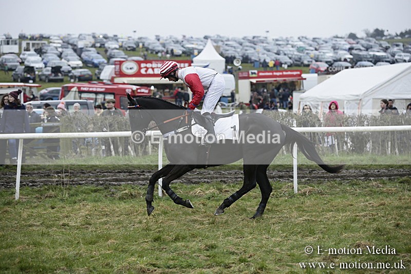 PtP 020418 -15 - Old Berks Point-to-Point Races Easter Monday 02/04/18