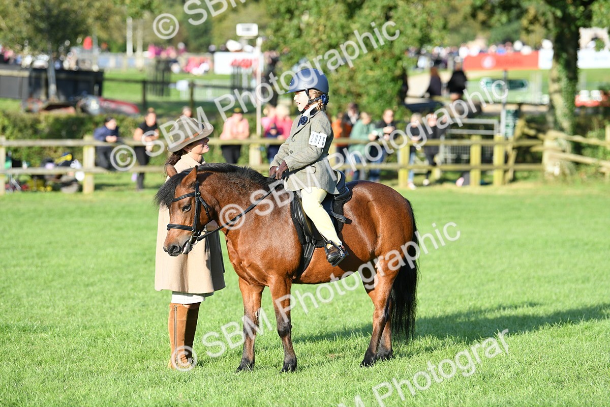 SBM_54104 - S23 - 1st Ridden Mountain & Moorland Pony