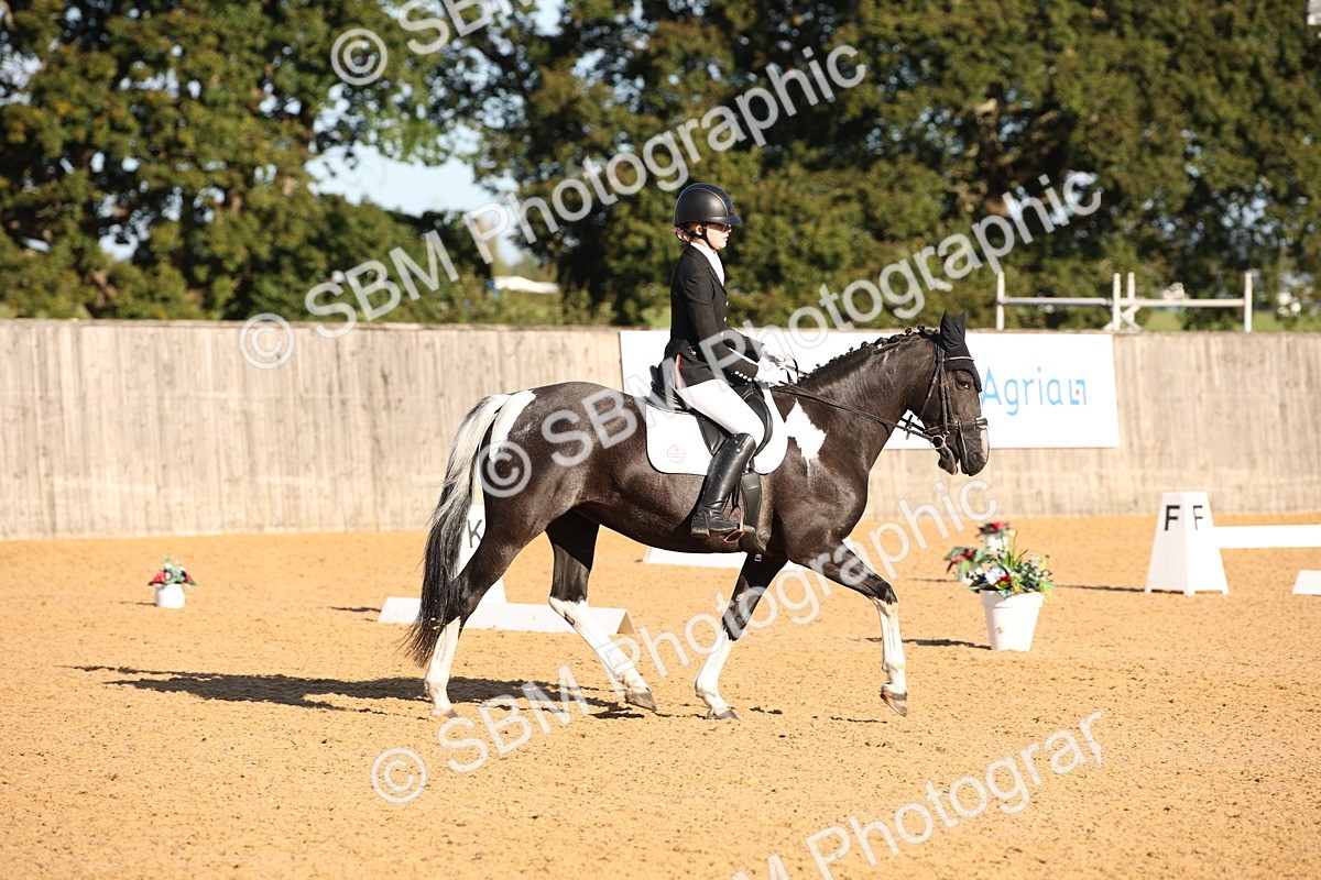 SBM_01792 - D2 Small Tour Championship Intro C