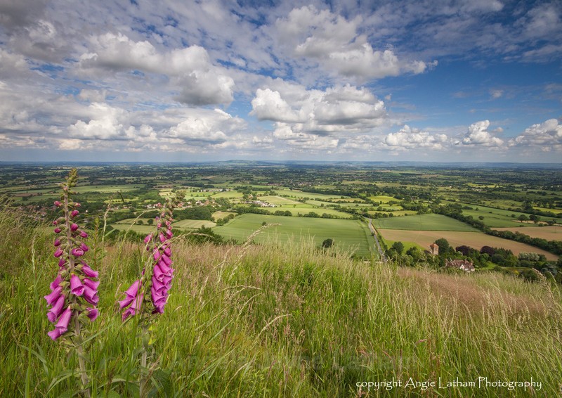Hot Summer Days - The Malvern Hills