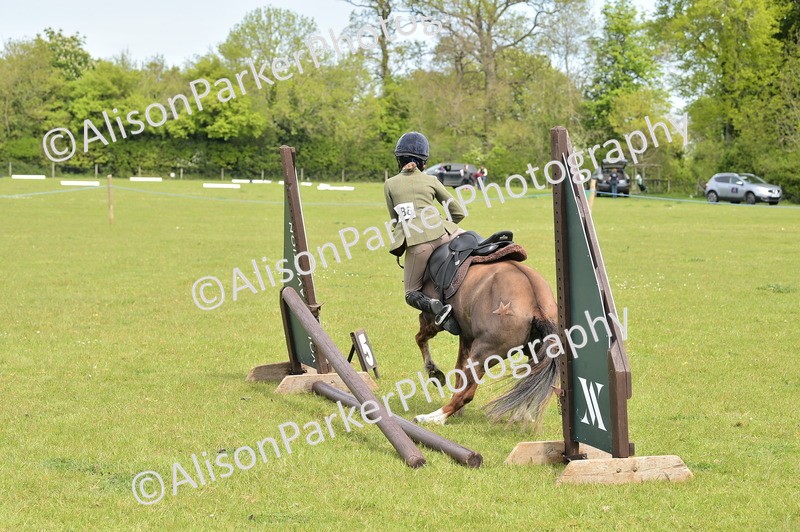 20260426-2390 - Class 21 - Working Hunter Ponies