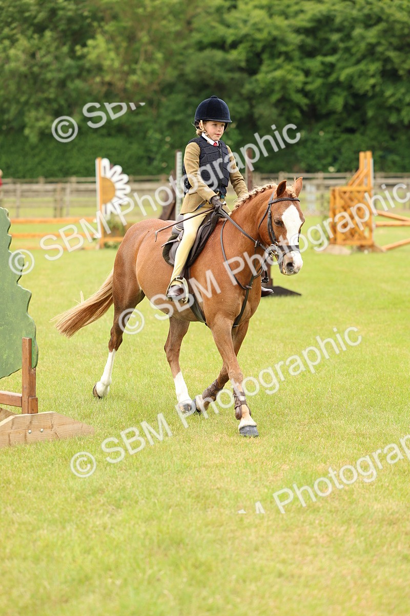 SBM_10237 - Class 44-45 - LIHS BSPS Open Nursery and Cradle Stakes