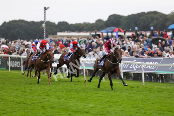 210824-Race 5-Extensio-7401 - Race 5 4.10pm Sky Bet Stayers Handicap