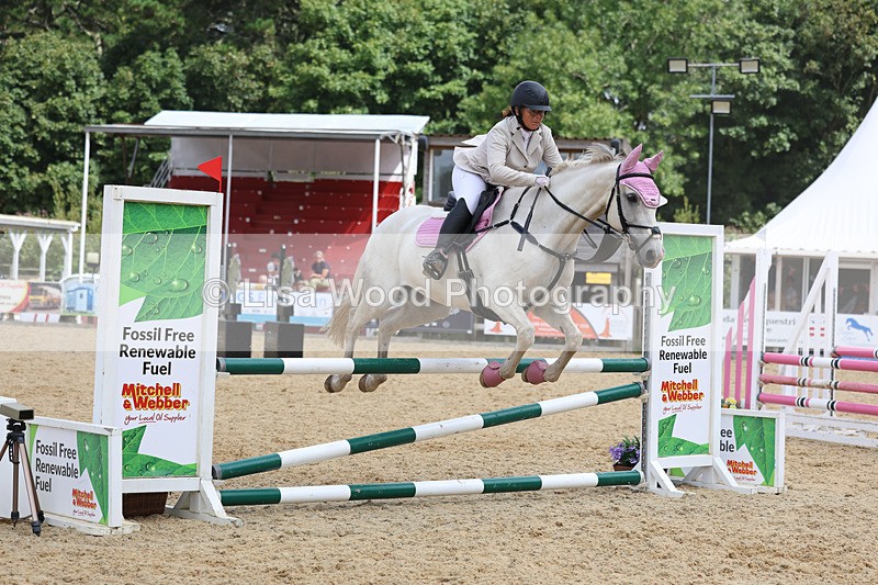 3E7A4916 - Class 4: Senior British Novice/90cm open