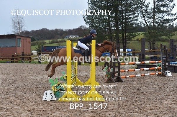 BPP_1547 - CLASS 7 Pony Discovery / 90cm Open