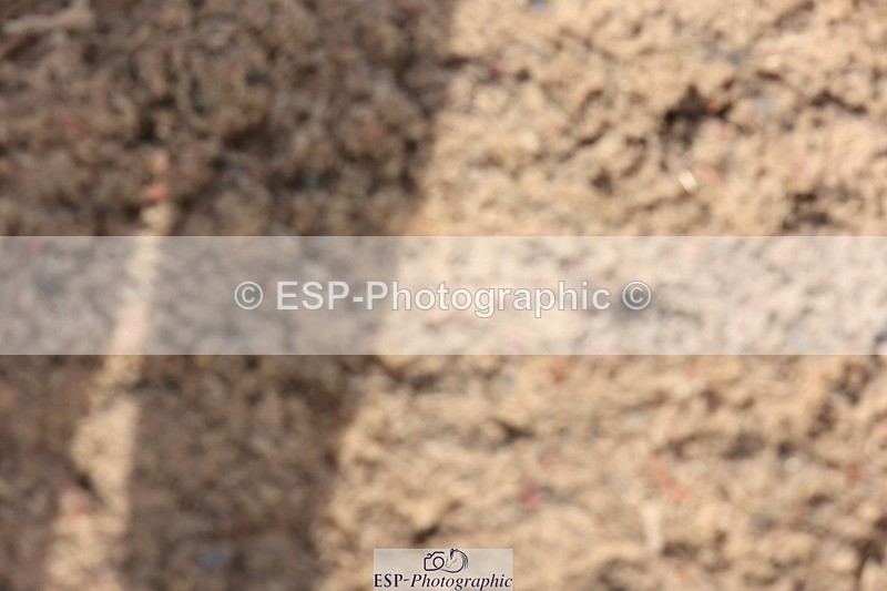 240629A-091926-02914 - Cls 16 British Novice and 80cm Open