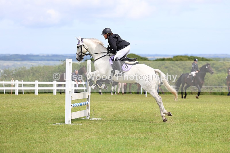 3E7A7443 - Class 13: Senior British Novice/90cm open