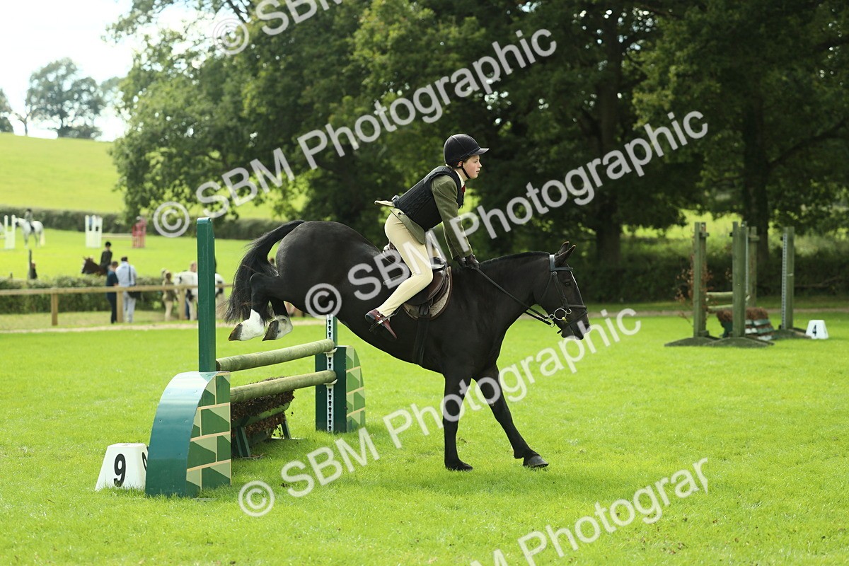 SBM_44750 - S31 - Working Hunter Pony