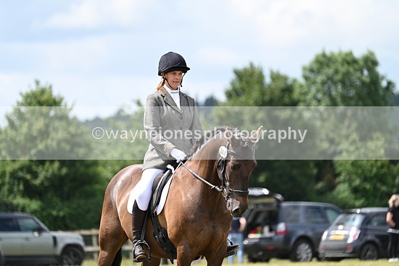 WJ7_4889 - Time 11:22 to 11:51