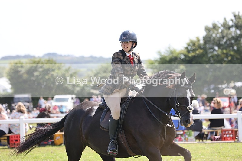 JPP_2221 - Class 19: Working Hunter 60cm