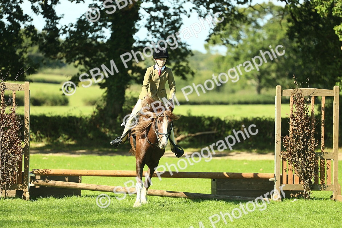 SBM_37550 - S29 - Novice & Newcomers Working Hunter Pony