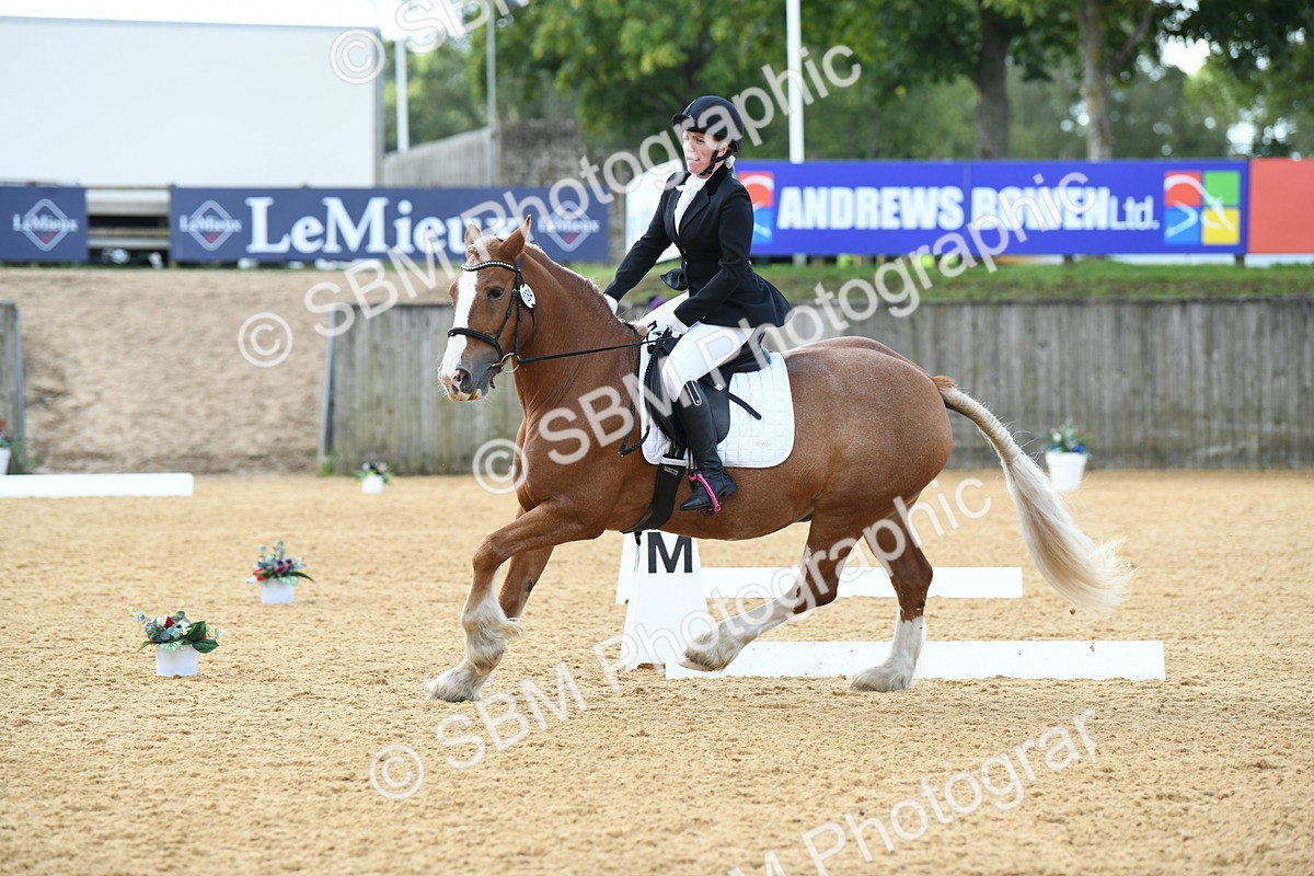 SBM_03109 - D7 Small Tour Championship Prelim 1