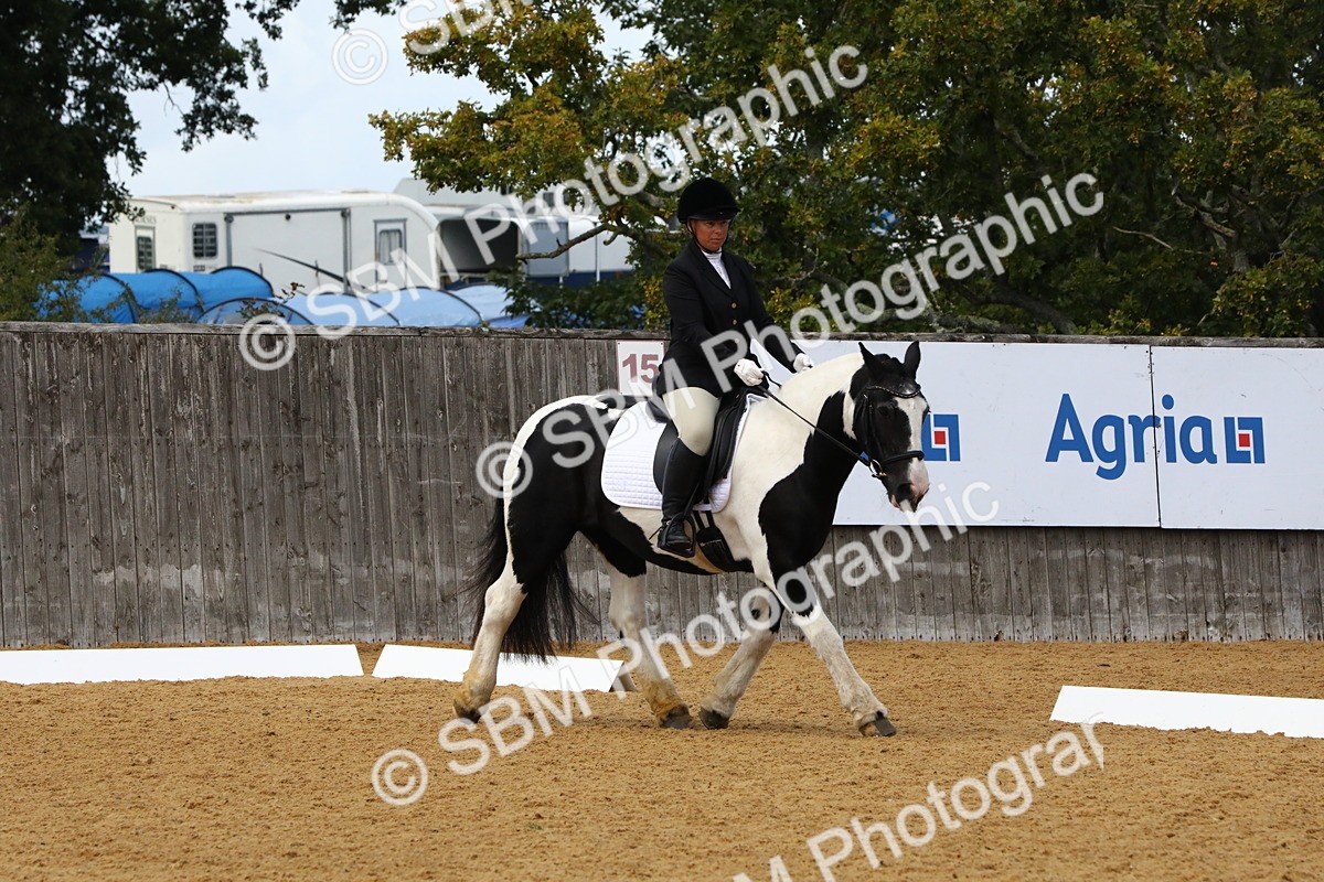 SBM_23427 - D5 - Small Tour Championshop Intro 2