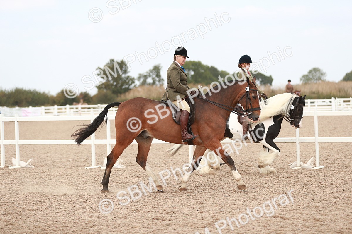 SBM_16644 - Class 214 Ridden Cob