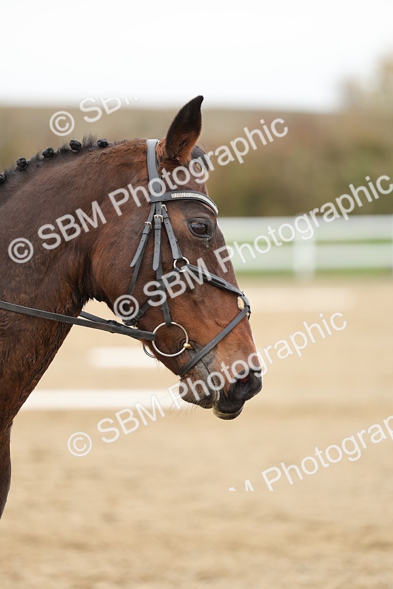 SBM_003817 - Class 9-12 - Novice 2 Elementary 3