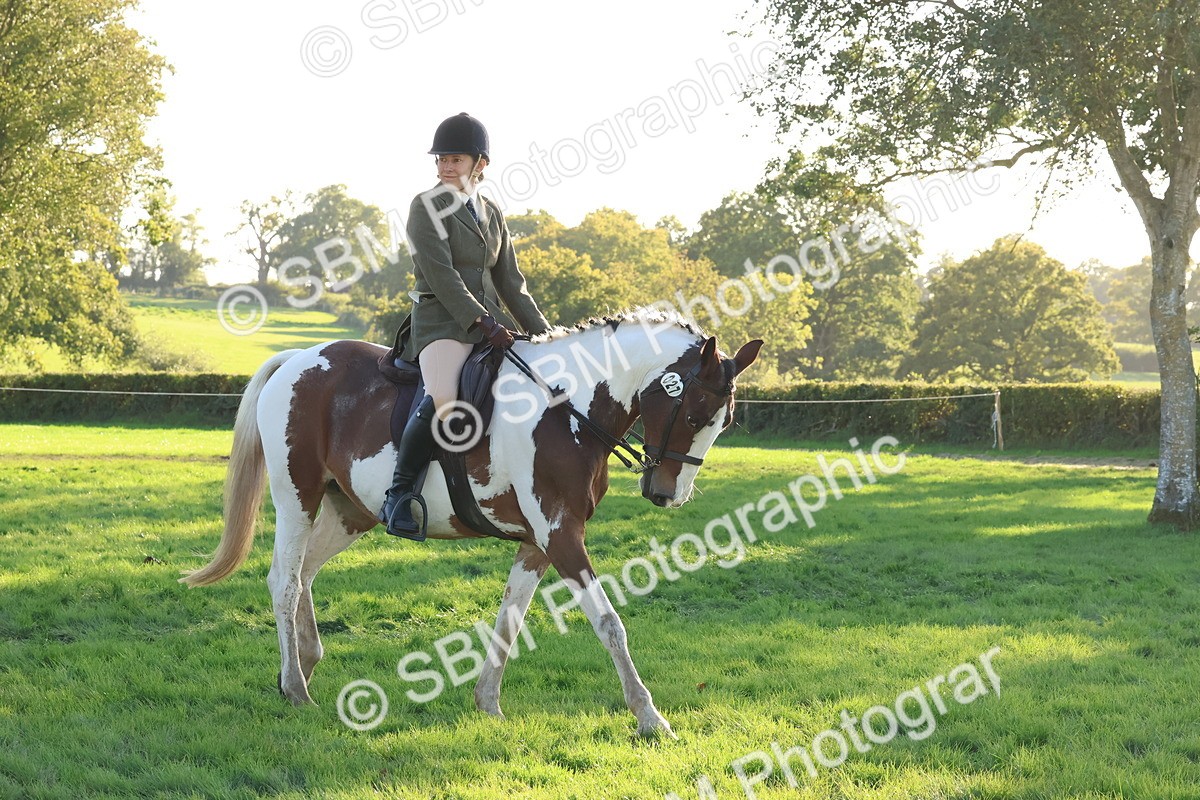 SBM_52989 - S29 - Mature Veteran Ridden