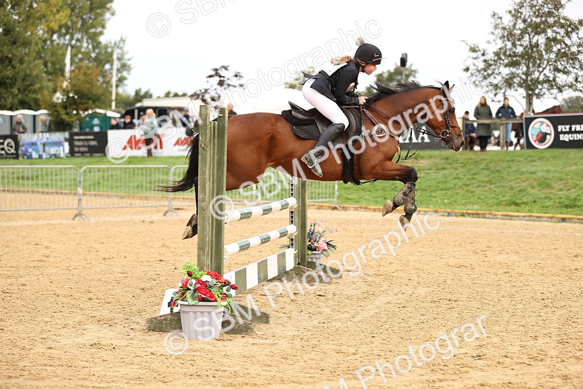 SBM_58401 - J41 - Grand Tour Horse & Pony 95cm